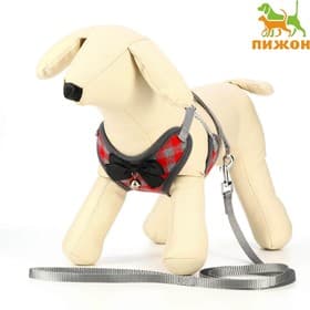 Шлейка с поводком, размер L, ОШ 30-50 см, ОГ 36-56 см, поводок 120×1.5 см, мягкая, серая, красная