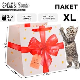 Пакет подарочный квадратный, упаковка, «For you», 30×30×30 см