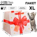 Пакет подарочный квадратный, упаковка, «For you», 30×30×30 см