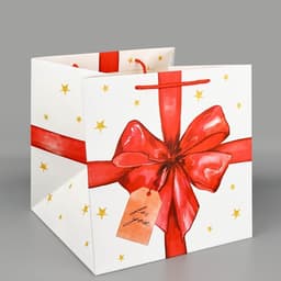Пакет подарочный квадратный, упаковка, «For you», 30×30×30 см