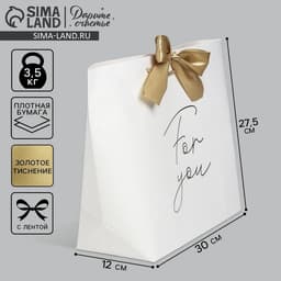 Пакет подарочный, упаковка, For you, 30×27.5×12 см