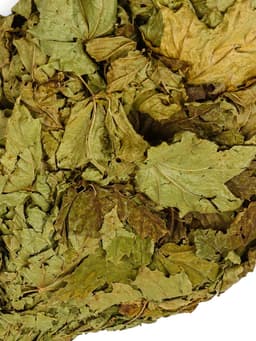 Веник для бани, кленовый, в пакете