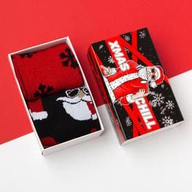 Носки мужские новогодние Xmas chill, набор 2 пары, размер 41-44 (27-29 см)