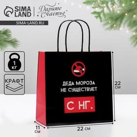 Пакет подарочный новогодний «Деда мороза не существует», 22×22×11 см
