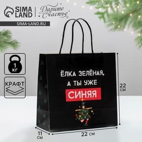 Пакет подарочный новогодний «А ты уже синяя», 22×22×11 см