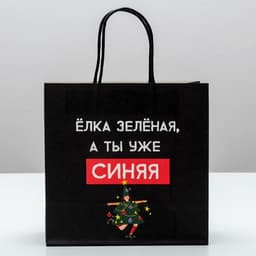 Пакет подарочный новогодний «А ты уже синяя», 22×22×11 см