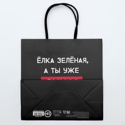 Пакет подарочный новогодний «А ты уже синяя», 22×22×11 см