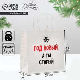 Пакет подарочный новогодний «Год Новый, а ты старый», 22×22×11 см