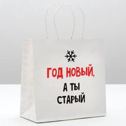 Пакет подарочный новогодний «Год Новый, а ты старый», 22×22×11 см