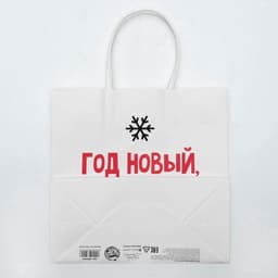 Пакет подарочный новогодний «Год Новый, а ты старый», 22×22×11 см