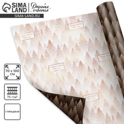 Упаковочная бумага глянцевая двусторонняя «Чудесного Нового года», 70×100 см