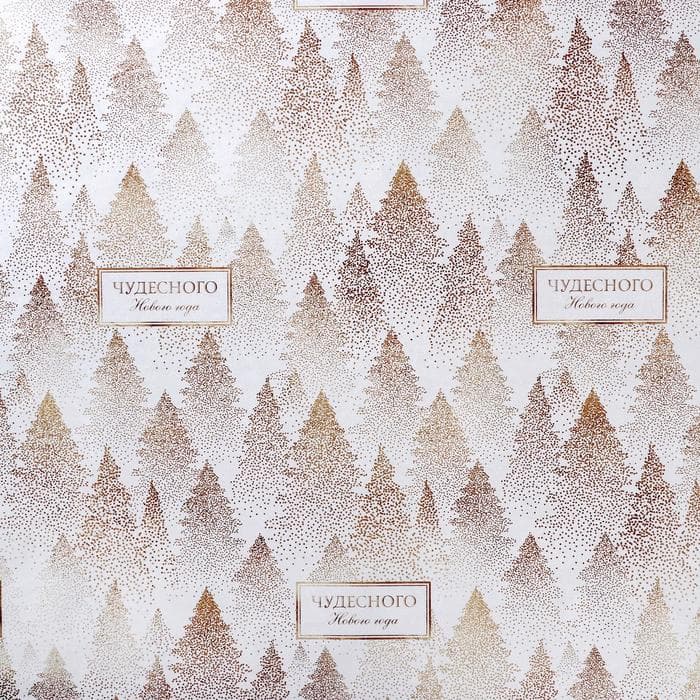 Упаковочная бумага глянцевая двусторонняя «Чудесного Нового года», 70×100 см
