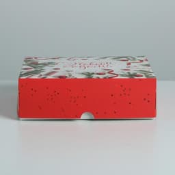 Упаковка для кондитерских изделий «С Новым годом!», 20×17×6 см