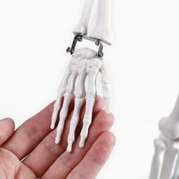 Анатомическая модель «Макет скелета взрослого человека», 85 см