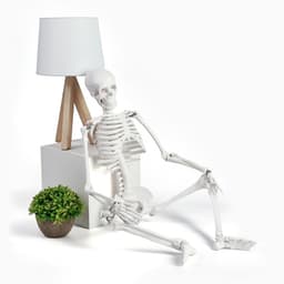 Анатомическая модель «Макет скелета взрослого человека», 85 см