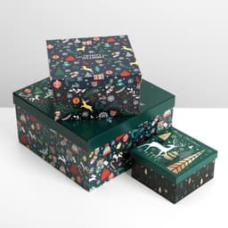 Коробки подарочные новогодние набор 10 в 1 «Новогодний», 10×10×6 ‒ 28×28×15 см