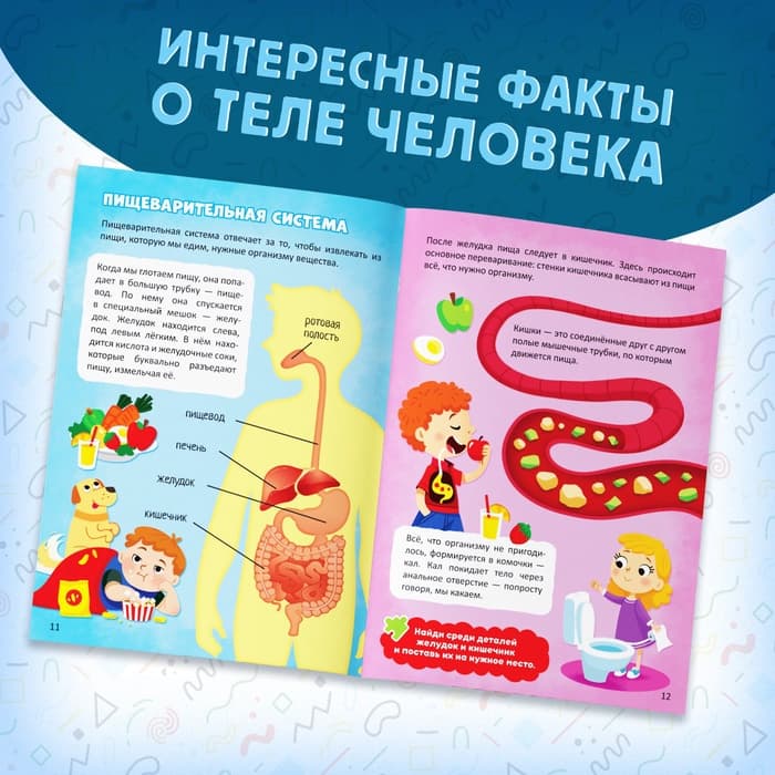 Подарочный набор «Моё тело», пазл с обучающей книгой
