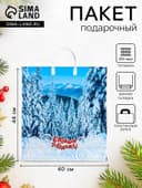 Пакет подарочный новогодний «Саяны», полиэтиленовый с пластиковой ручкой, 40×44 см