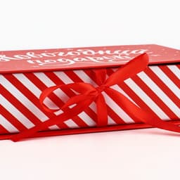 Коробка - книга подарочная «Новогодний подарок», 20×12.5×5 см, Новый год