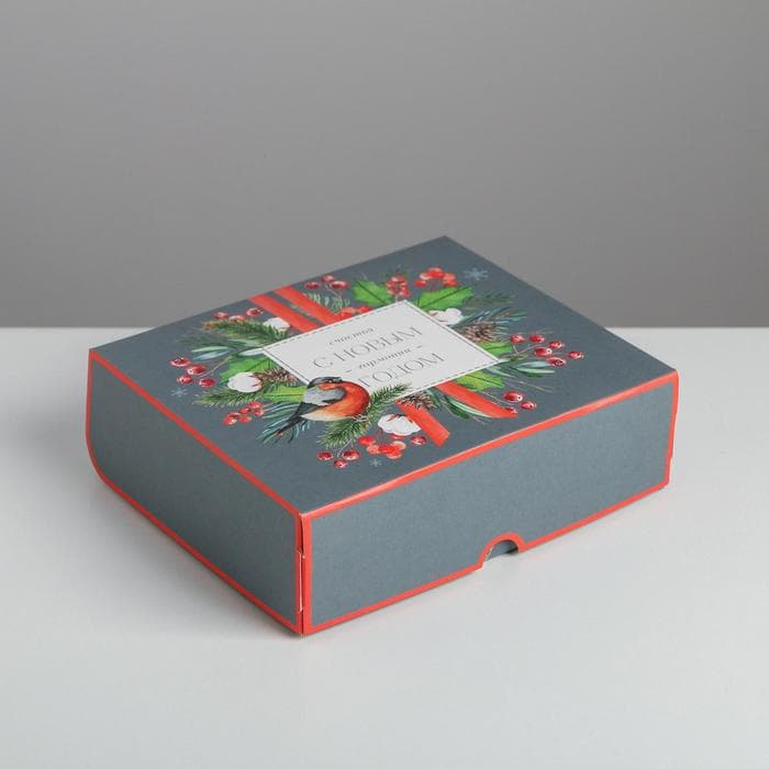 Упаковка для кондитерских изделий «С Новым годом!», 20×17×6 см