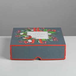 Упаковка для кондитерских изделий «С Новым годом!», 20×17×6 см