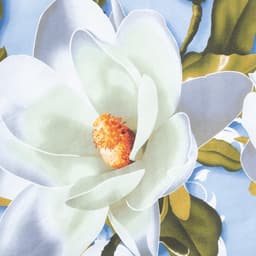 Пододеяльник 1.5-спальный «Этель. Кувшинки», 145×210 см, бязь