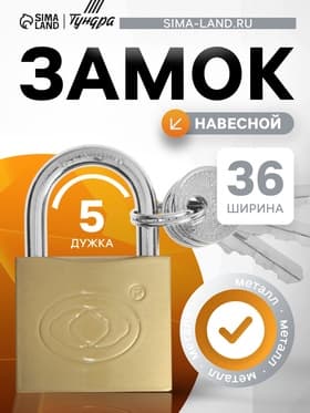 Замок навесной тип 14, 36×60 мм, 3 ключа