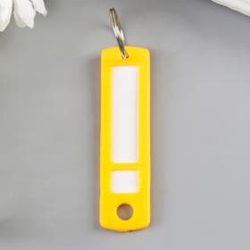 Бирка для ключей на кольце «Идентификатор. Мини», пластик, МИКС