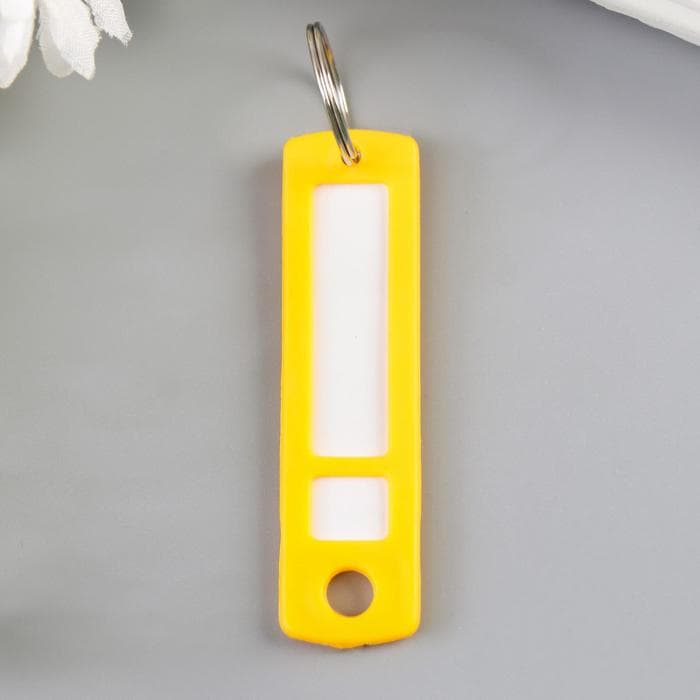 Бирка для ключей на кольце «Идентификатор. Мини», пластик, МИКС