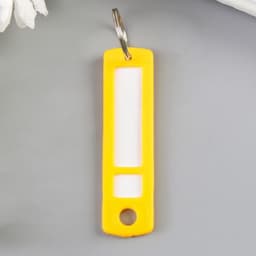 Бирка для ключей на кольце «Идентификатор. Мини», пластик, МИКС