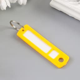 Бирка для ключей на кольце «Идентификатор. Мини», пластик, МИКС