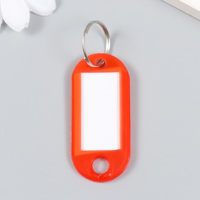 Бирка для ключей на кольце «Идентификатор овальный», пластик, МИКС