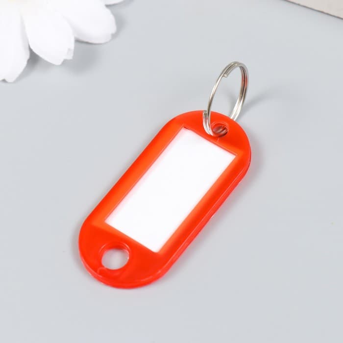 Бирка для ключей на кольце «Идентификатор овальный», пластик, МИКС