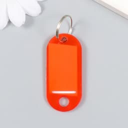 Бирка для ключей на кольце «Идентификатор овальный», пластик, МИКС