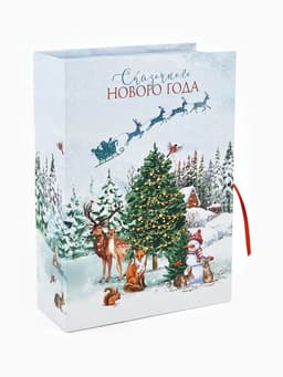 Коробка подарочная - книга «Счастливого Нового Года», 27×19.5×8 см