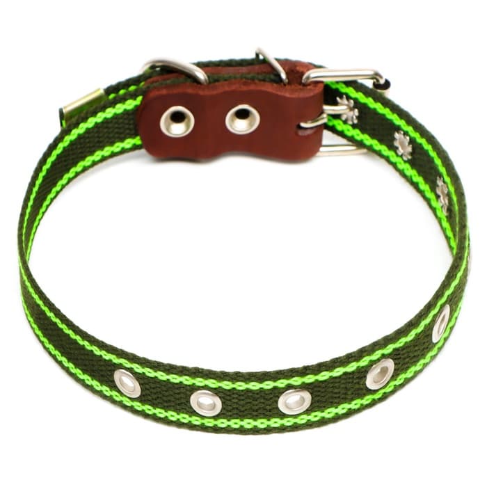 Ошейник брезентовый однослойный, безразмерный, 57×2.5 см, ОШ 25-45 см, хаки, зелёный
