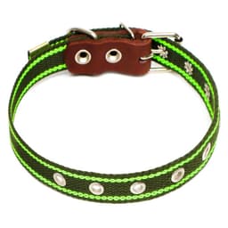 Ошейник брезентовый однослойный, безразмерный, 57×2.5 см, ОШ 25-45 см, хаки, зелёный