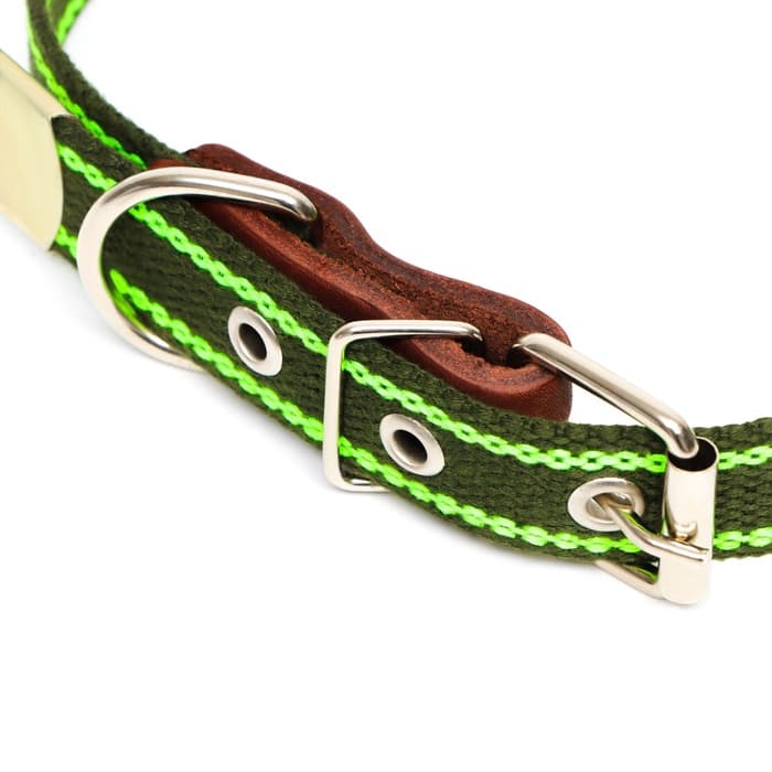 Ошейник брезентовый однослойный, безразмерный, 57×2.5 см, ОШ 25-45 см, хаки, зелёный