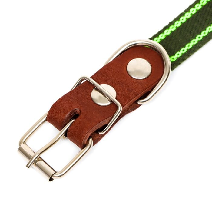 Ошейник брезентовый однослойный, безразмерный, 57×2.5 см, ОШ 25-45 см, хаки, зелёный