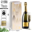 Пакет новогодний подарочный под бутылку «С Новым годом», 13×35×10 см