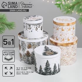 Набор подарочных коробок 5 в 1 «Белое золото», 13×14‒19.5×22 см, Новый год