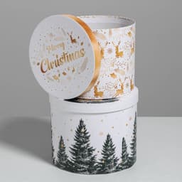 Набор подарочных коробок 5 в 1 «Белое золото», 13×14‒19.5×22 см, Новый год