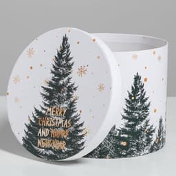 Набор подарочных коробок 5 в 1 «Белое золото», 13×14‒19.5×22 см, Новый год