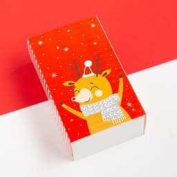 Набор новогодних детских носков Крошка Я «Give Joy», 4 пары, 6-8 см