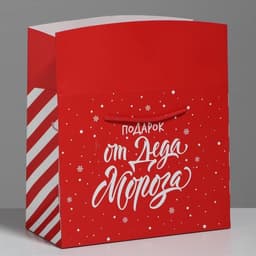 Пакет - коробка новогодний подарочный «Подарок», 23×18×11 см