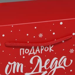 Пакет - коробка новогодний подарочный «Подарок», 23×18×11 см