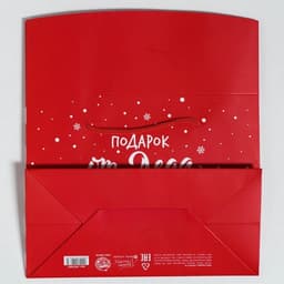 Пакет - коробка новогодний подарочный «Подарок», 23×18×11 см