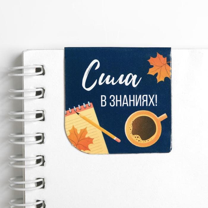 Магнитные закладки для книг, 4 шт., в открытке «С днем учителя»