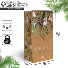 Пакет подарочный без ручек новогодний Present for you, 10×19×7 см