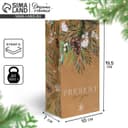 Пакет подарочный без ручек новогодний Present for you, 10×19×7 см